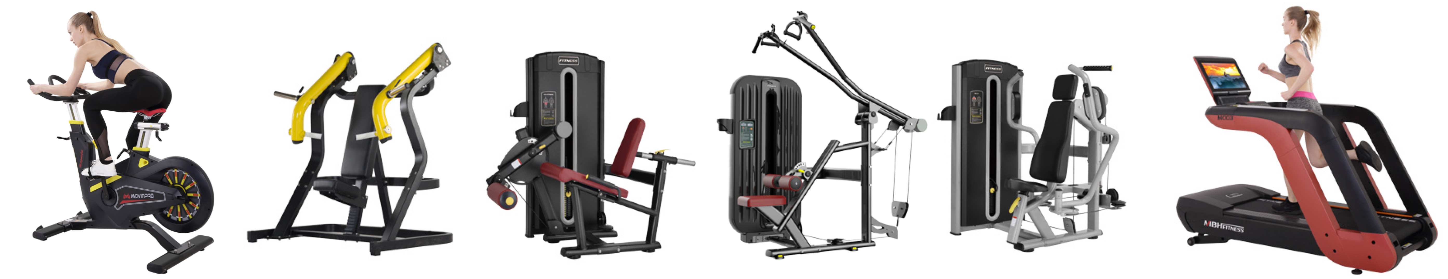 Equipamiento de gimnasio