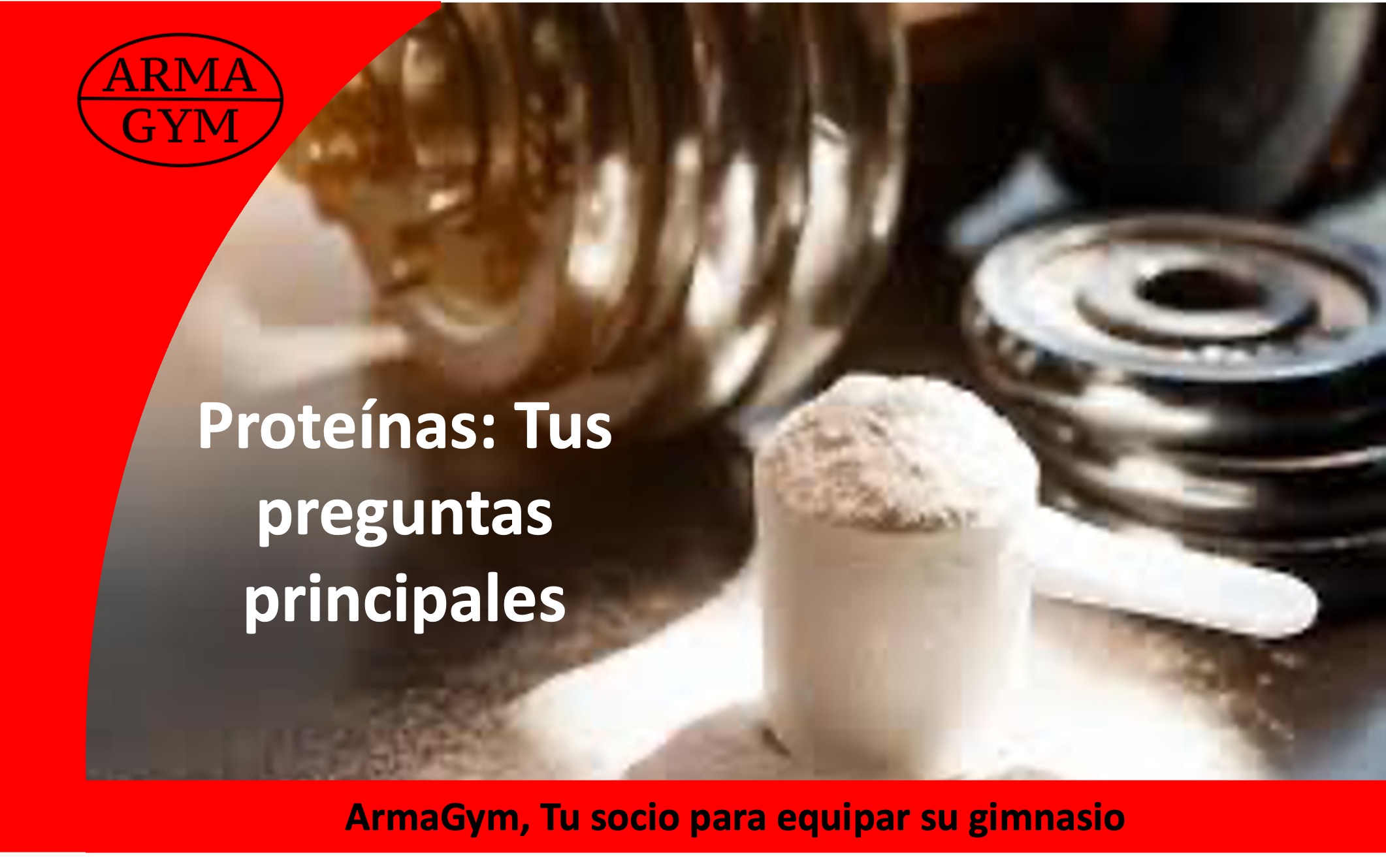 Proteínas: Tus preguntas principales